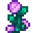 fairy_rose