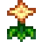 summer_spangle